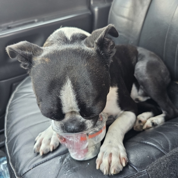 Meet your Posher, Tiff - Picture 2 of 16